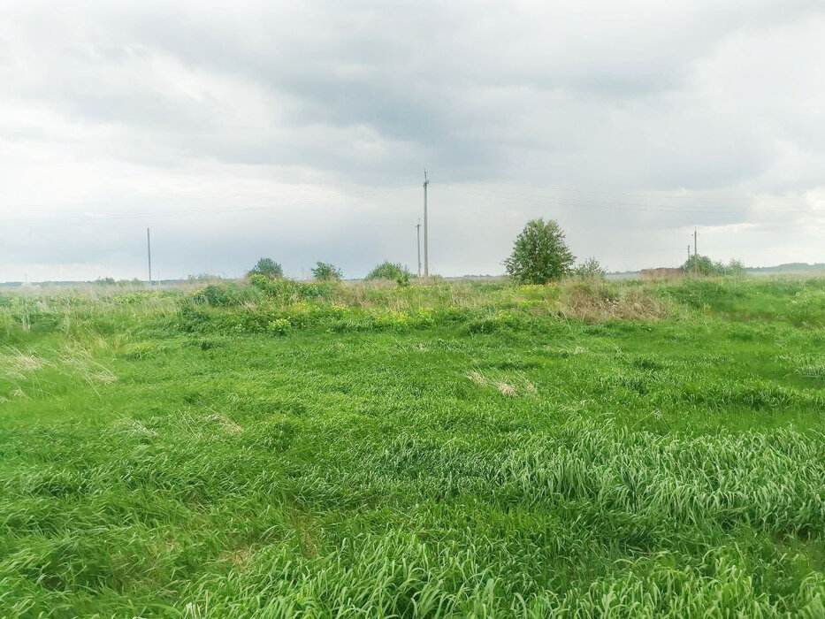 с. Рыбниковское, ул. Солнечная, 2Б (городской округ Город Каменск-Уральский) - фото земельного участка (1)