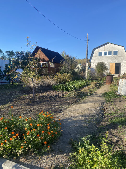 п. Лосиный, ДНП Лосинка (городской округ Березовский) - фото сада (2)