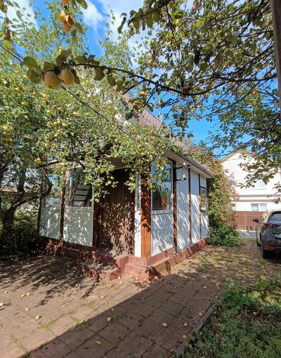 Екатеринбург, СНТ Шинник-1 Зелёный Бор (Елизавет) - фото сада (2)