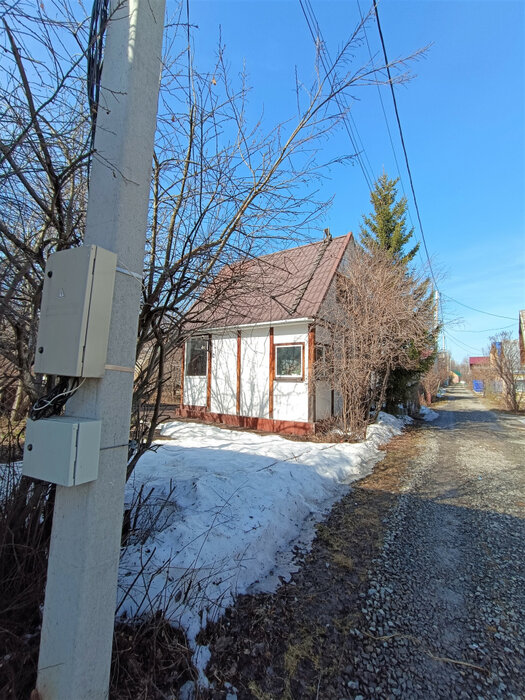 Екатеринбург, СНТ Шинник-1 Зелёный Бор (Елизавет) - фото сада (3)