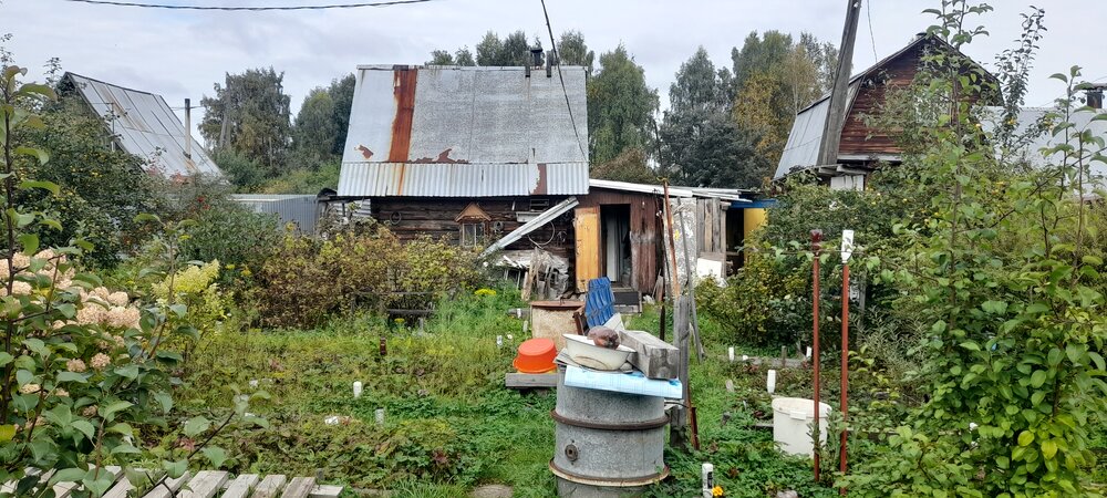 п. Кедровка, СТ Приозёрный, уч. 64 (городской округ Березовский) - фото сада (5)