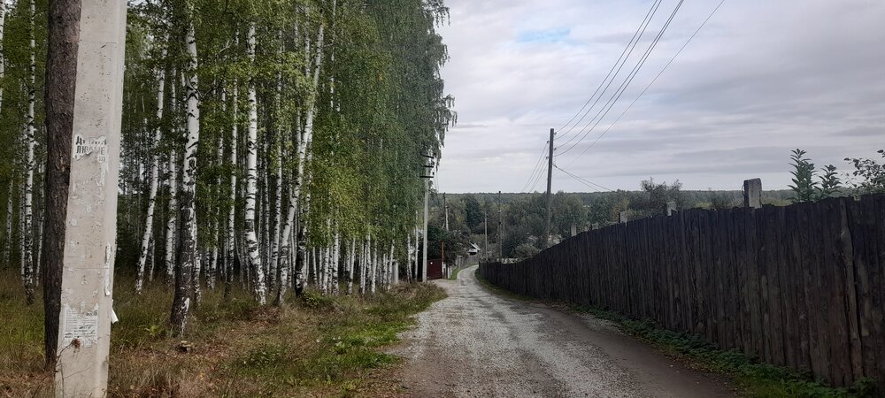 п. Кедровка, СТ Приозёрный, уч. 64 (городской округ Березовский) - фото сада (7)