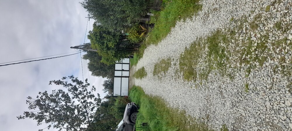 п. Кедровка, СТ Приозёрный, уч. 64 (городской округ Березовский) - фото сада (8)