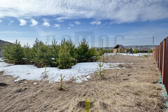 с. Черданцево, ул. Брусника,   (городской округ Сысертский) - фото земельного участка