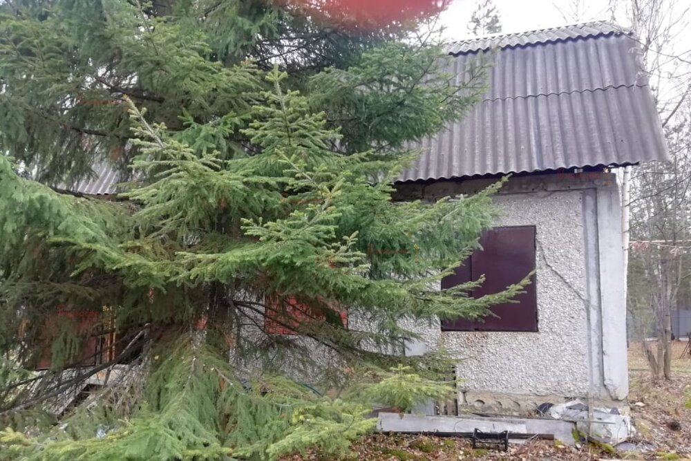 п. Растущий, к/с Гранит (городской округ Белоярский) - фото сада (5)