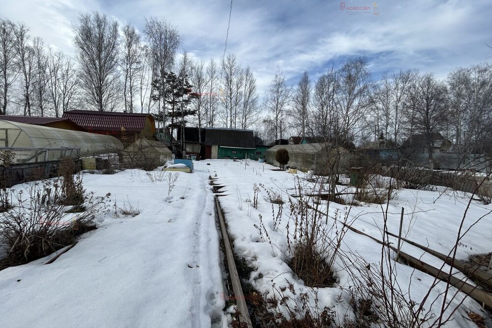 Екатеринбург, к/с  СНТ Ромашка, ул. Верхнемакаровская (Широкая речка) - фото сада (4)