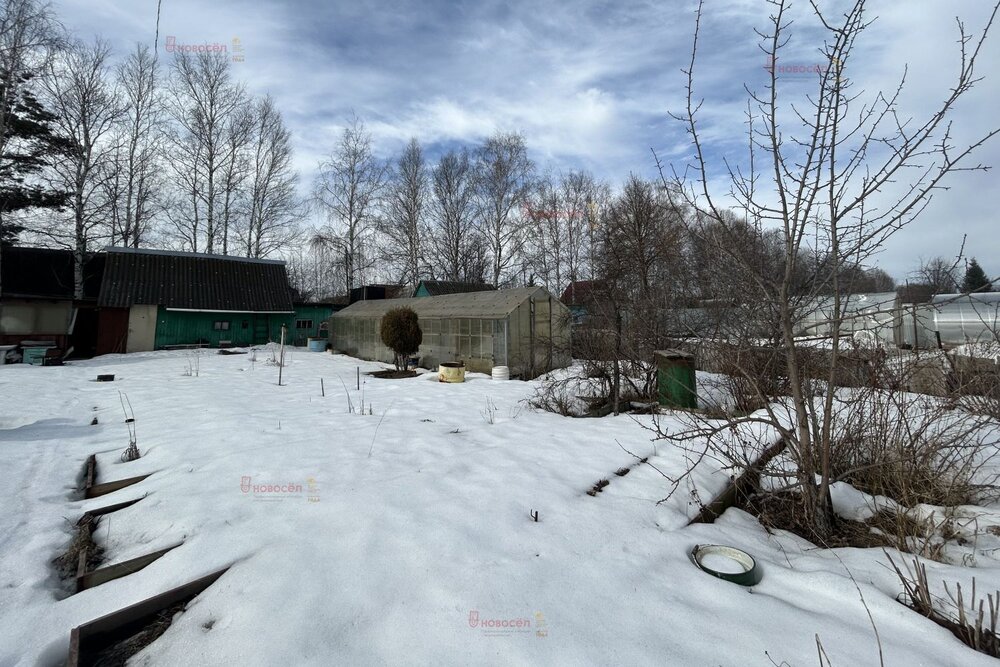 Екатеринбург, к/с  СНТ Ромашка, ул. Верхнемакаровская (Широкая речка) - фото сада (5)