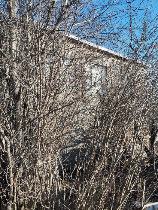 п. Храмцовская, СДТ Фабрики Авангард (городской округ Белоярский) - фото сада (5)