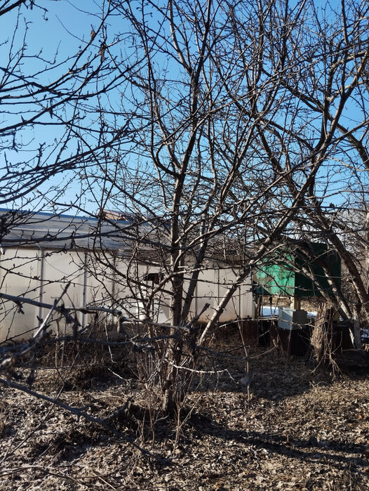 п. Храмцовская, СДТ Фабрики Авангард (городской округ Белоярский) - фото сада (7)