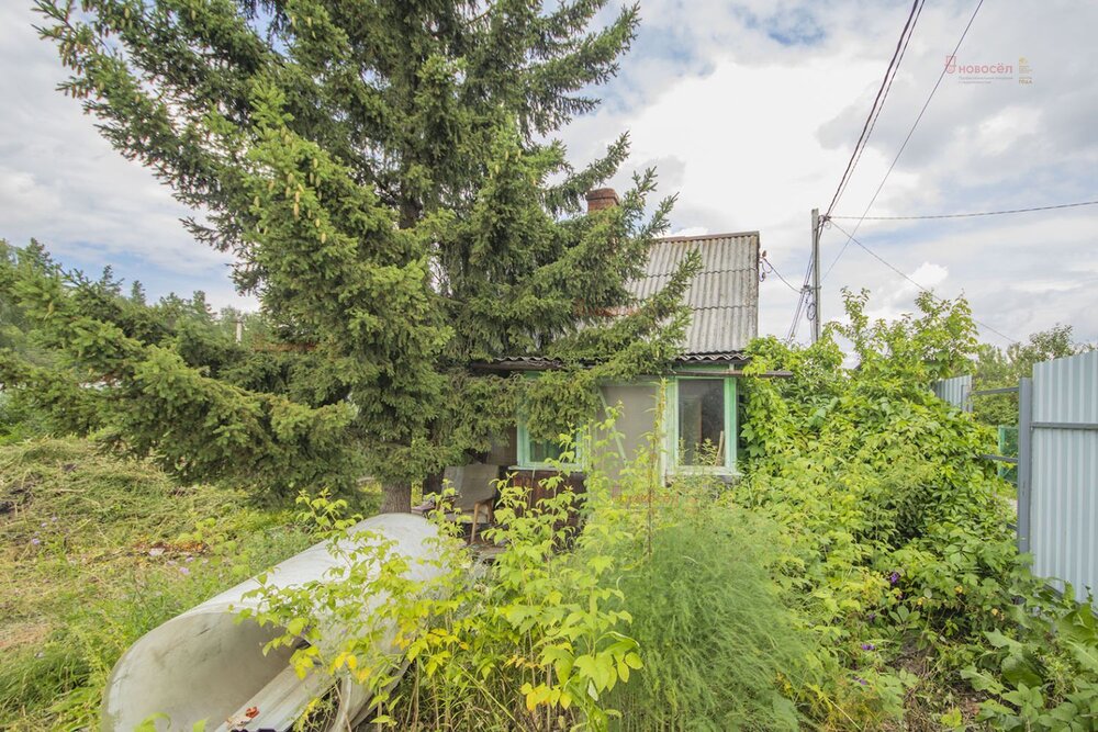 Екатеринбург, СНТ Энергия, ул. Верхнемакаровская, 89 (Широкая речка) - фото сада (1)