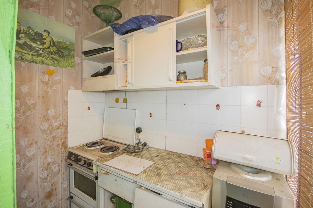 Екатеринбург, СНТ Энергия, ул. Верхнемакаровская, 89 (Широкая речка) - фото сада (6)