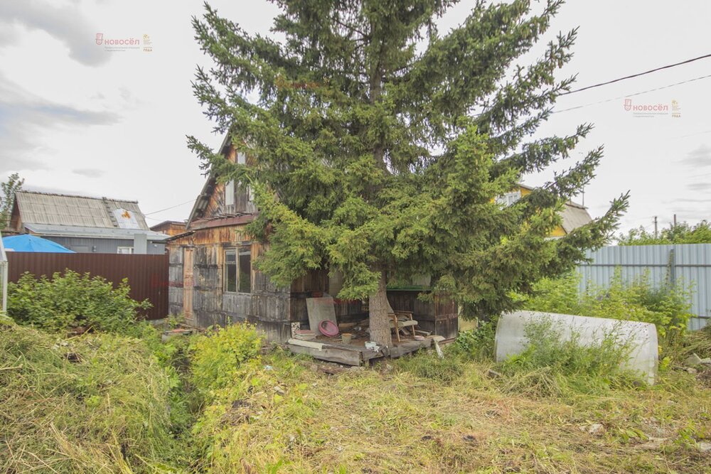 Екатеринбург, СНТ Энергия, ул. Верхнемакаровская, 89 (Широкая речка) - фото сада (7)