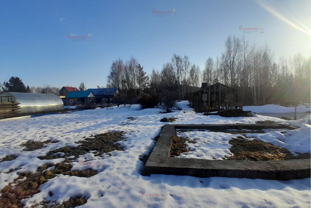 п. Большой Исток, коллективный сад Поляна (городской округ Сысертский) - фото сада (4)