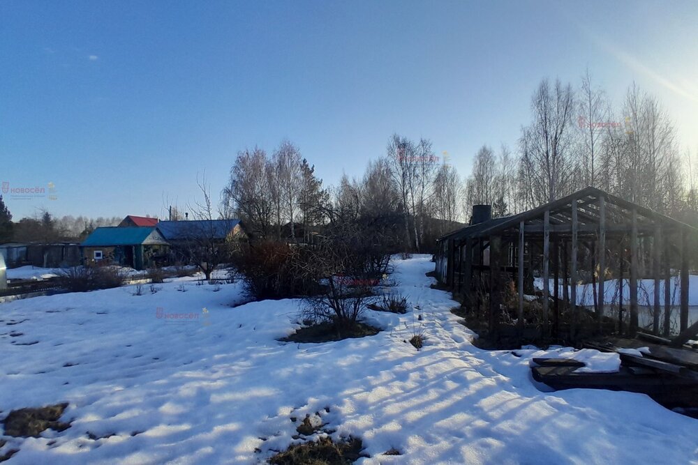 п. Большой Исток, коллективный сад Поляна (городской округ Сысертский) - фото сада (7)