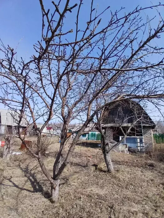 г. Кировград, снт. СНТ 