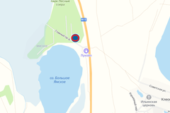 д. Григорьевка, ул. Ленина, 23 (Каслинский район) - фото дачи