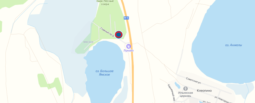 д. Григорьевка, ул. Ленина, 23 (Каслинский район) - фото дачи (2)