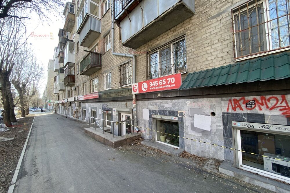 Екатеринбург, ул. Мичурина, 54 (Центр) - фото торговой площади (4)