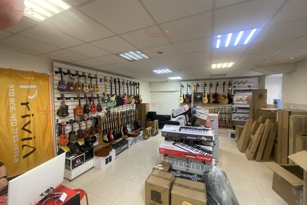 Екатеринбург, ул. Мичурина, 54 (Центр) - фото торговой площади (5)