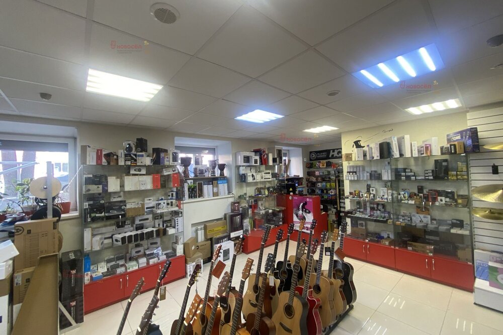 Екатеринбург, ул. Мичурина, 54 (Центр) - фото торговой площади (6)