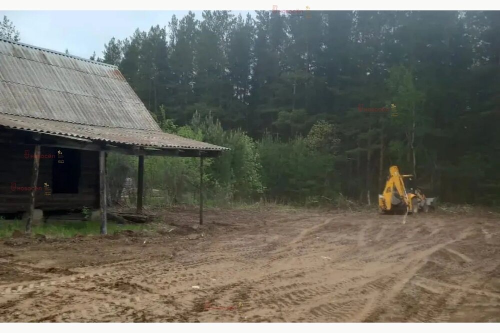 с. Кашино, СТ Васильки, уч. 27 (городской округ Сысертский) - фото сада (4)