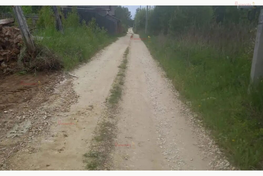 с. Кашино, СТ Васильки, уч. 27 (городской округ Сысертский) - фото сада (5)