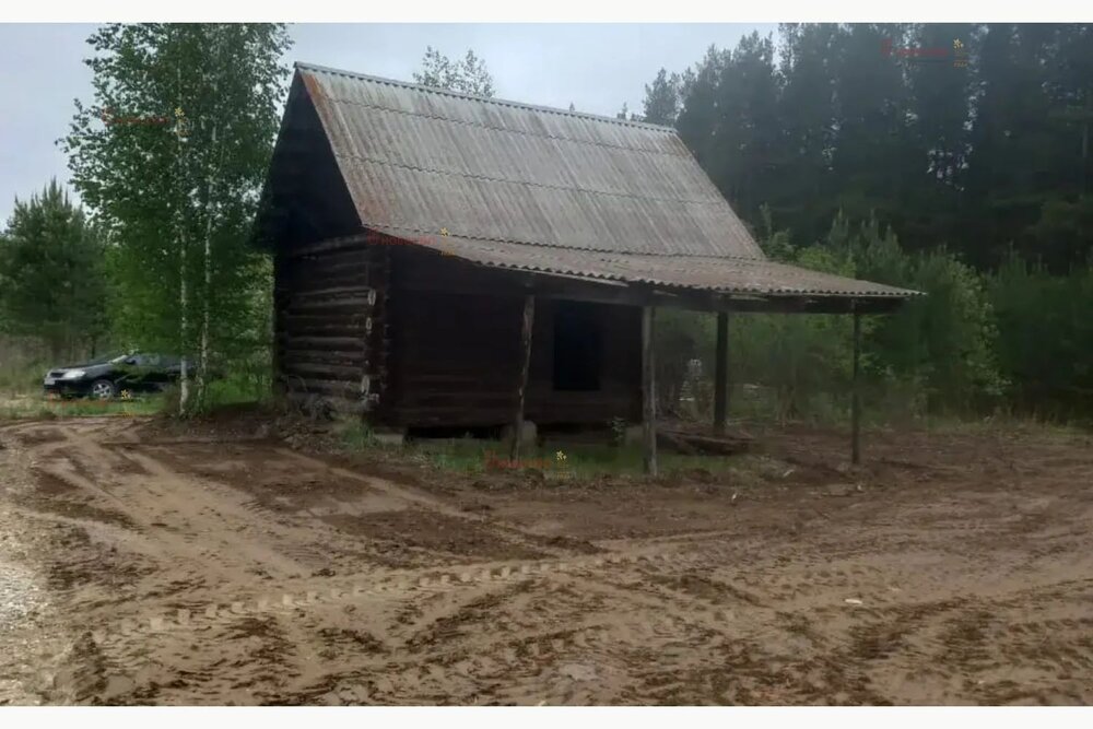 с. Кашино, СТ Васильки, уч. 27 (городской округ Сысертский) - фото сада (6)