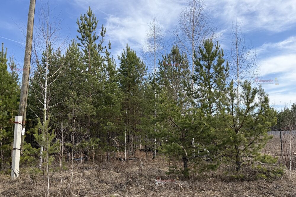 п. Бобровский, ул. Некрасова, 3 (городской округ Сысертский) - фото земельного участка (3)