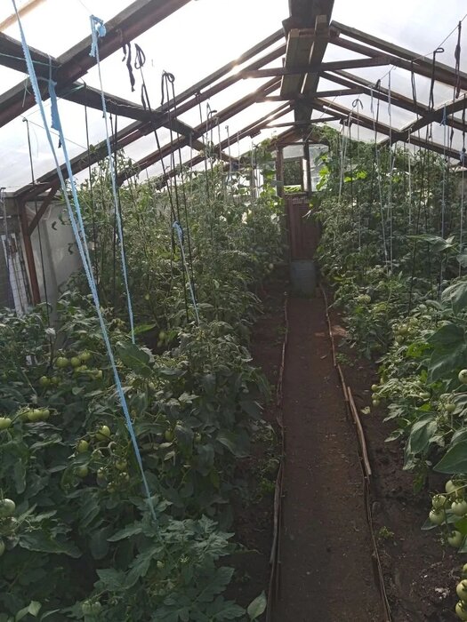 г. Каменск-Уральский, ул. Луговая, 14 (городской округ Каменский) - фото земельного участка (1)