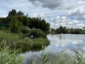 Продажа садового участка: г. Березовский, посёлок 2-й Карьер, уч. 26А (городской округ Березовский) - Фото 7