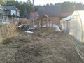 Продажа садового участка: г. Березовский, коллективный сад № 36 (городской округ Березовский) - Фото 5
