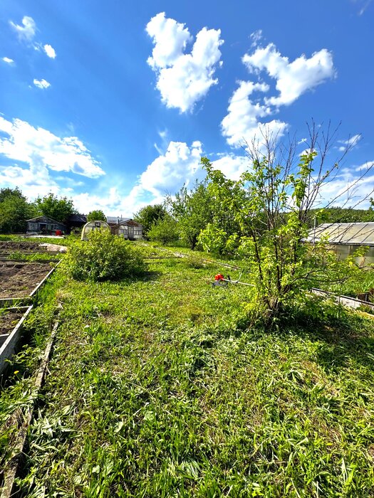 г. Новоуральск, СТ Южное, ул. Мостовая (городской округ Новоуральский) - фото сада (11)