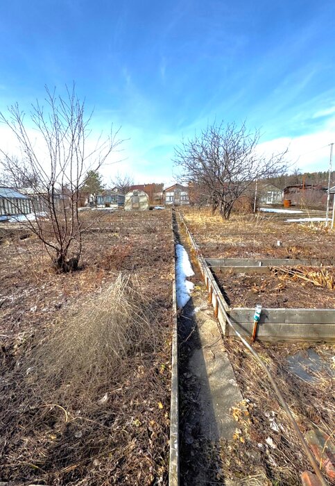 г. Новоуральск, СТ Южное, ул. Мостовая (городской округ Новоуральский) - фото сада (3)