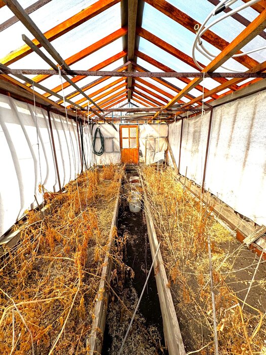 г. Новоуральск, СТ Южное, ул. Мостовая (городской округ Новоуральский) - фото сада (4)