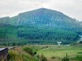 Продажа садового участка: г. Ревда, СТ Волчиха (городской округ Ревда) - Фото 3