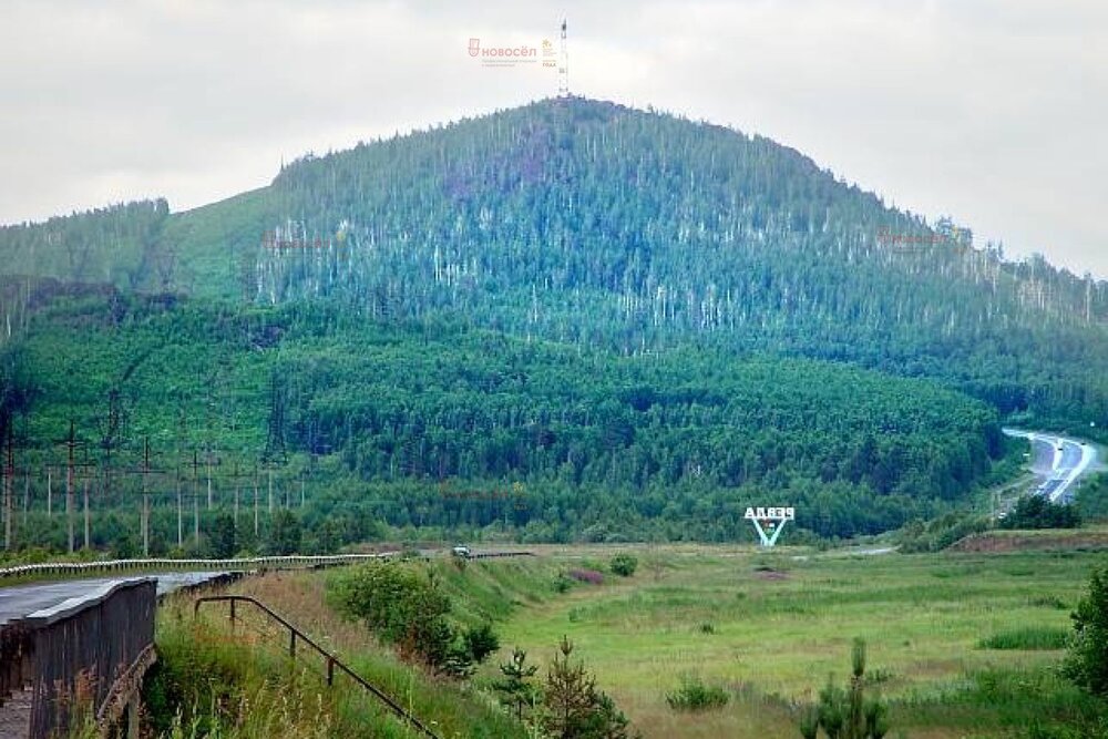г. Ревда, СТ Волчиха (городской округ Ревда) - фото сада (5)