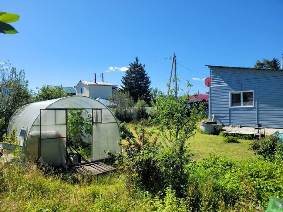 Екатеринбург, снт. Автомобильного транспорта (кад.кв-л, уч. 0310010),33 (Широкая речка) - фото сада (1)