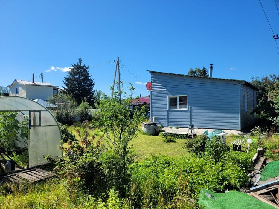 Екатеринбург, снт. Автомобильного транспорта (кад.кв-л, уч. 0310010),33 (Широкая речка) - фото сада (2)