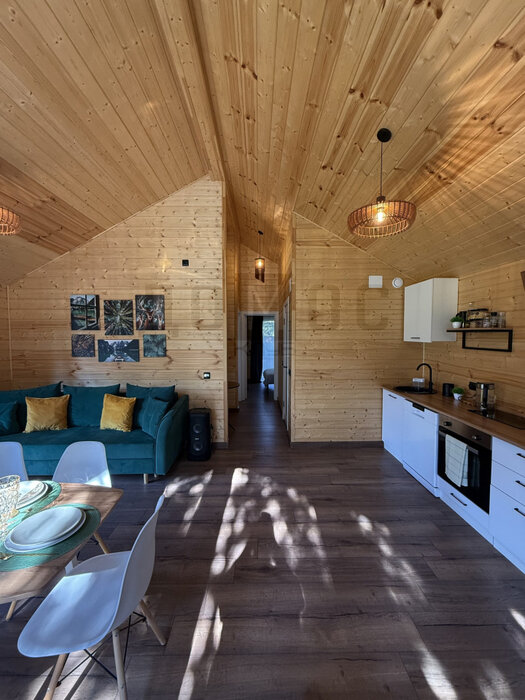 с. Фомино, СНТ Новофомино, ул. Олимпийская, 20 (городской округ Сысертский) - фото сада (2)