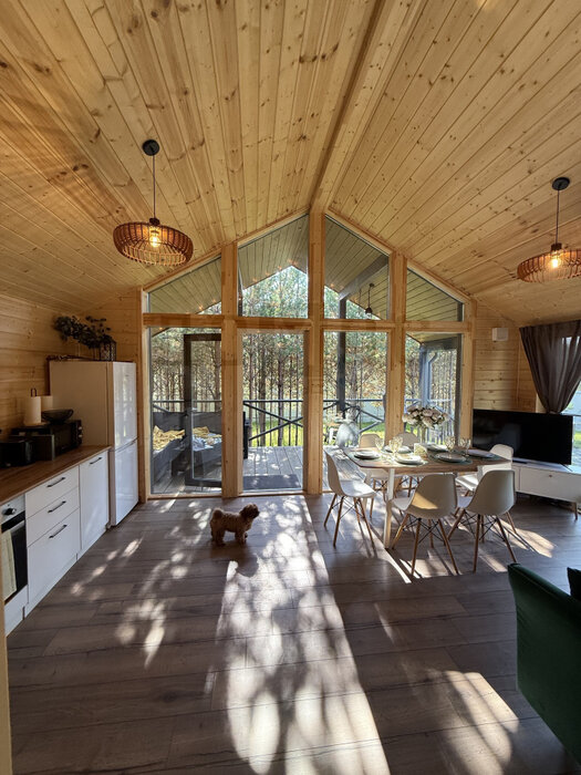 с. Фомино, СНТ Новофомино, ул. Олимпийская, 20 (городской округ Сысертский) - фото сада (3)