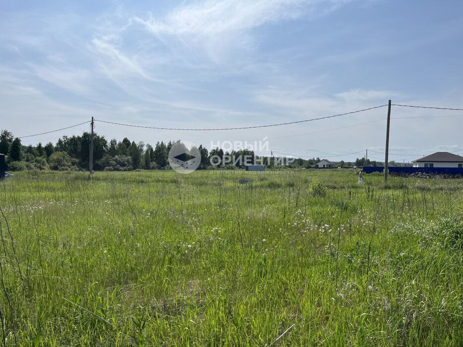 д. Гусева, ул. Петровская, 41 (городской округ Белоярский) - фото земельного участка (2)