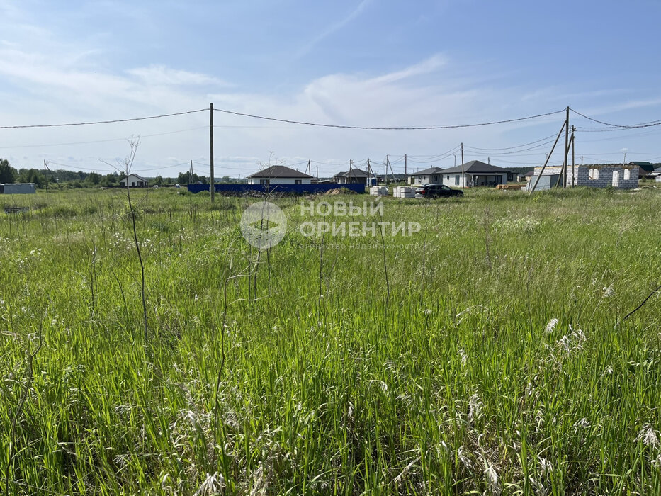 д. Гусева, ул. Петровская, 41 (городской округ Белоярский) - фото земельного участка (3)