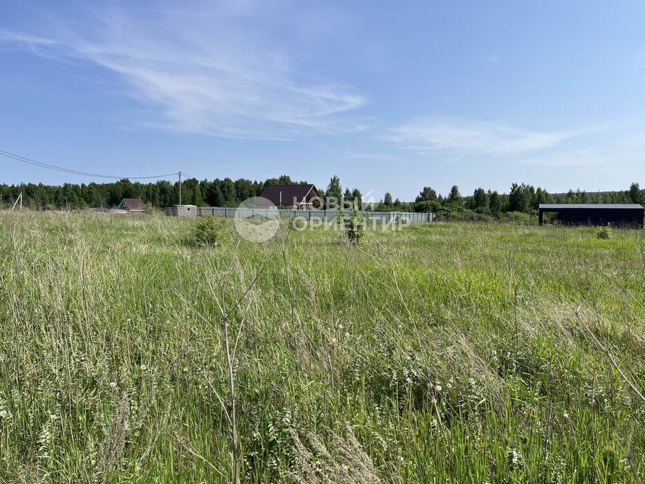 д. Гусева, ул. Петровская, 41 (городской округ Белоярский) - фото земельного участка (5)