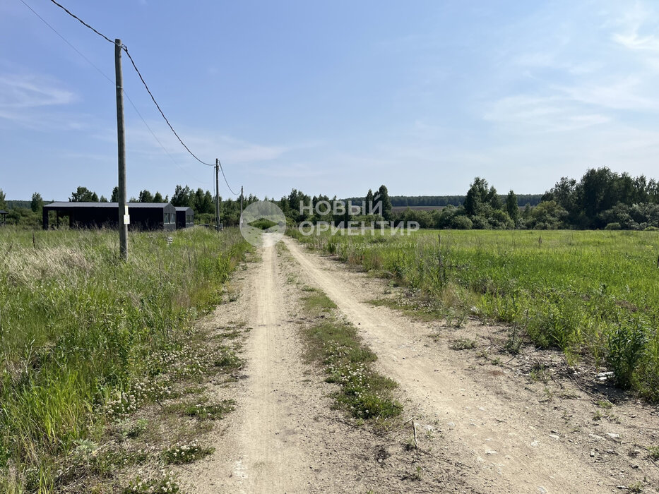 д. Гусева, ул. Петровская, 41 (городской округ Белоярский) - фото земельного участка (7)