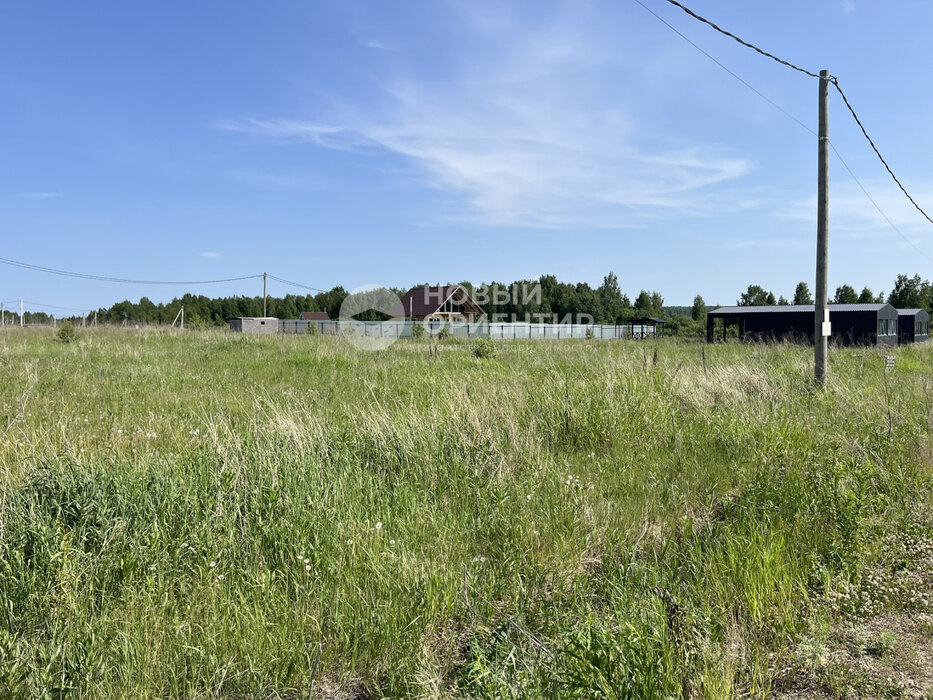 д. Гусева, ул. Петровская, 41 (городской округ Белоярский) - фото земельного участка (8)