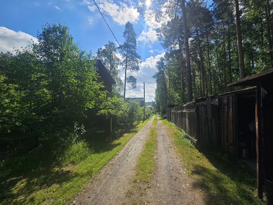 г. Арамиль, СНТ Металлург, уч. 42 (городской округ Арамильский) - фото сада (15)