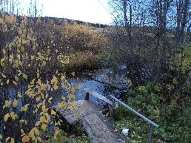 село Малая Лая, ул. Береговая (городской округ Горноуральский) - фото земельного участка (5)