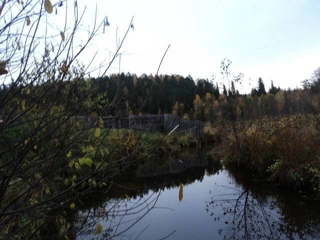 село Малая Лая, ул. Береговая (городской округ Горноуральский) - фото земельного участка (6)