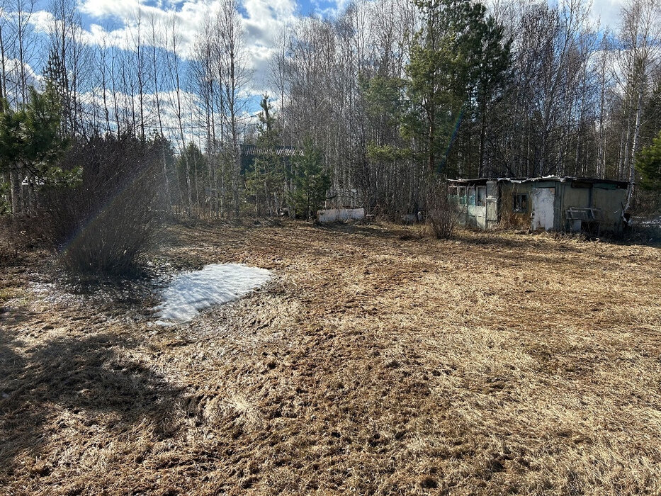 Екатеринбург, ул. садово-потребительский кооператив Спортодежда, 10 (Медный) - фото земельного участка (2)