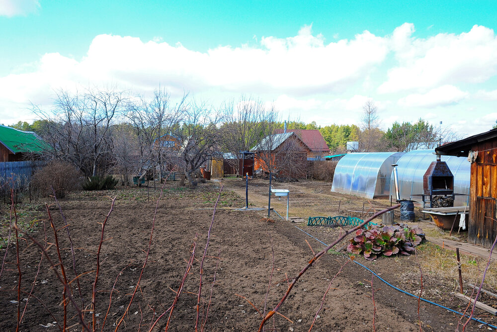 п. Хризолитовый, СНТ 50 лет победы, уч. 63 (городской округ Белоярский) - фото сада (1)